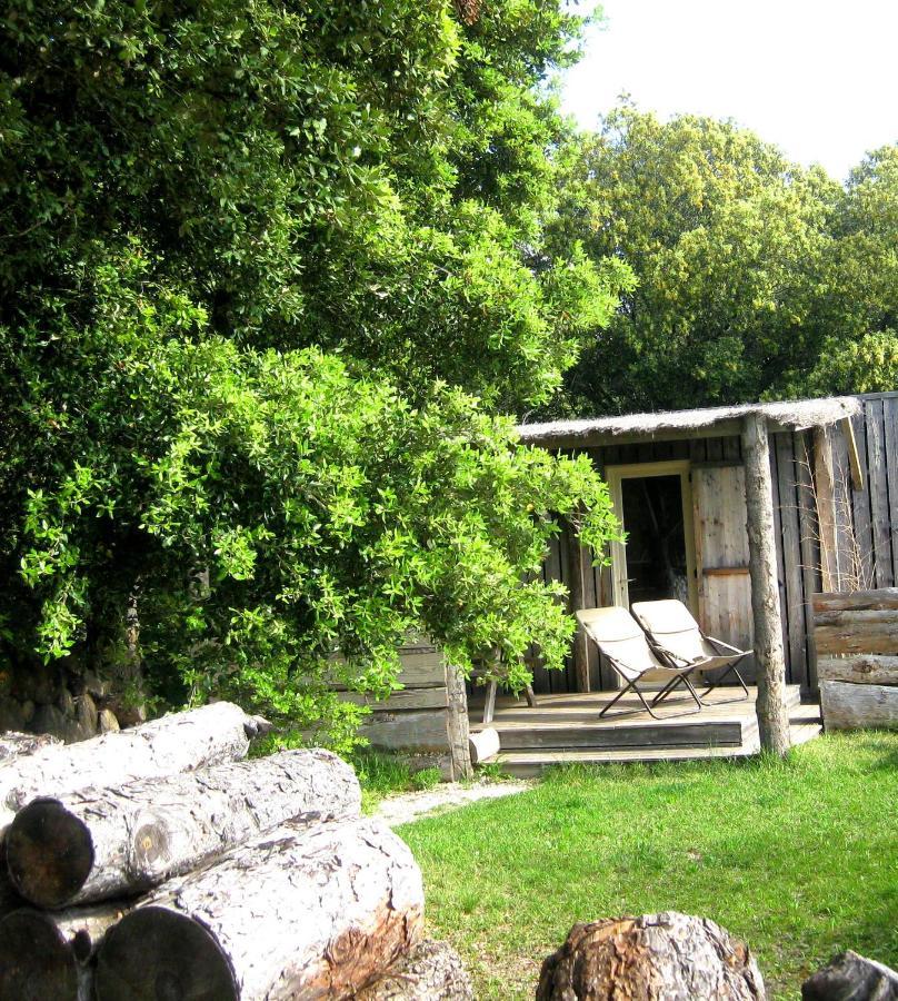Lodges En Provence - Ecogites & Restaurant Insolites Richerenches Eksteriør billede